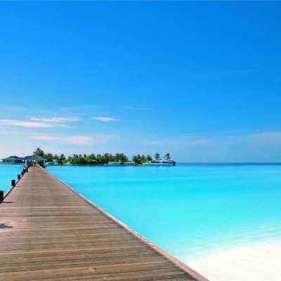 天博体育官方平台入口