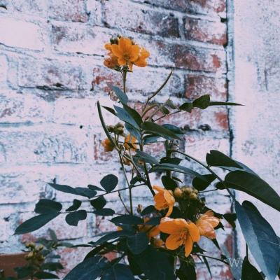 火博体育App官网