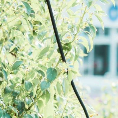 PG电子游戏下载